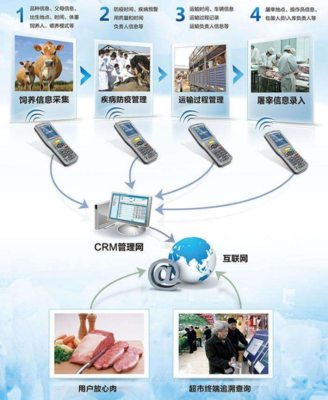 為何需要建設(shè)動物溯源信息化管理系統(tǒng)及信息技術(shù)咨詢服務(wù)的價(jià)值