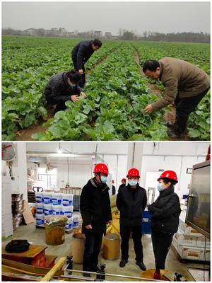 科技助農(nóng)穩(wěn)生產(chǎn)，服務(wù)下鄉(xiāng)促春耕——市農(nóng)技推廣中心積極開展春耕備耕指導(dǎo)工作